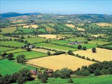 Enquête Eurostat sur la structure des exploitations agricoles dans l'UE