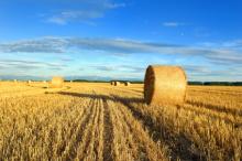 La Commission européenne présente un vaste plan d'aides aux agriculteurs européens de 500 millions d’euros