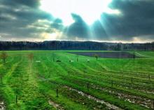 Décodeurs UE: La politique agricole commune tue l'agriculture française ! Vraiment ?