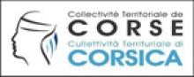 Direction de l'action culturelle: Conservateur de la Cinémathèque de Corse