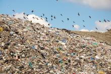 Discariche: Pedicini (M5S), dopo condanna Cdg ancora 185 abusive